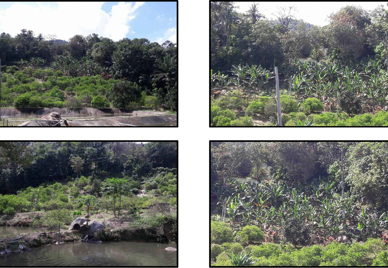 Nilai Forest Art Farmstay Agriculture Land For Sale