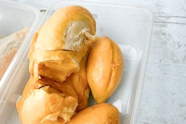 Durian Orchard Rembau, Negeri Sembilan for Sale