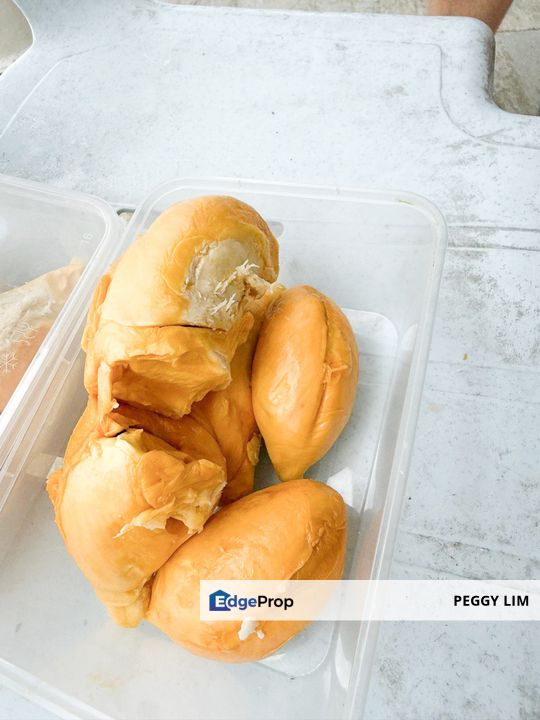 Durian Orchard Rembau, Negeri Sembilan for Sale, Negeri Sembilan, Rembau