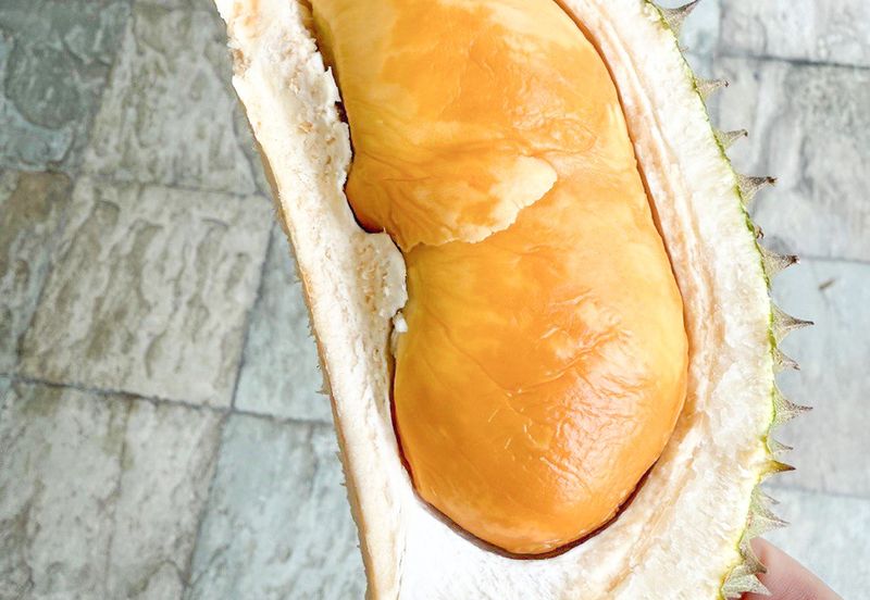 Durian Orchard Rembau, Negeri Sembilan for Sale