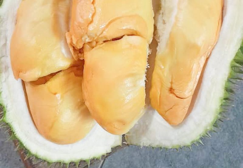 Durian Orchard Rembau, Negeri Sembilan for Sale