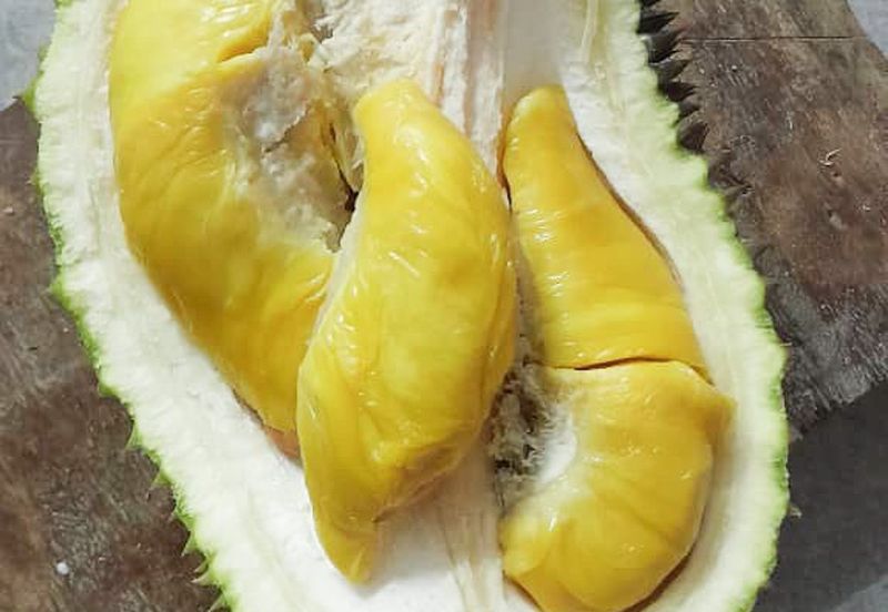 Durian Orchard Rembau, Negeri Sembilan for Sale