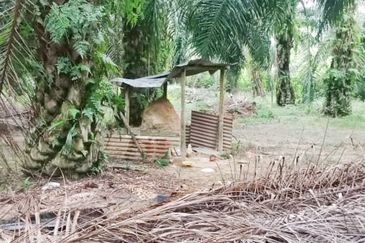 Oil Palm Land Tangkak, Johor - for Sale