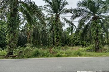 Agricultural Land for Sale - Kampung Sungai Alai, Johor