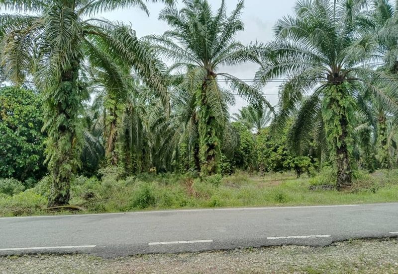 Agricultural Land for Sale - Kampung Sungai Alai, Johor
