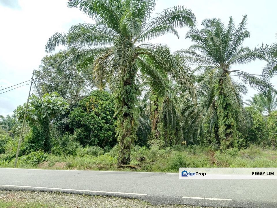Agricultural Land for Sale - Kampung Sungai Alai, Johor, Johor, Muar