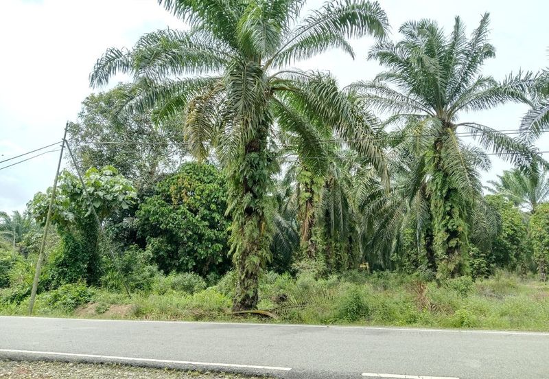 Agricultural Land for Sale - Kampung Sungai Alai, Johor
