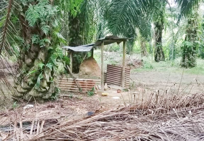 Agricultural Land for Sale - Dengkil, Sepang, Selangor