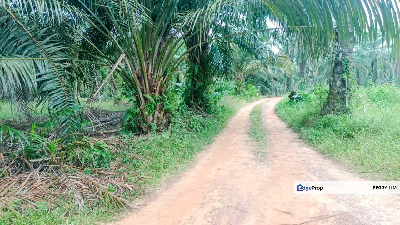 Agricultural Land for Sale - Dengkil, Sepang, Selangor, Selangor, Dengkil