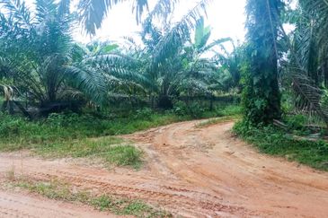 Agricultural Land for Sale - Dengkil, Sepang, Selangor