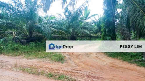 Agricultural Land for Sale - Dengkil, Sepang, Selangor, Selangor, Dengkil