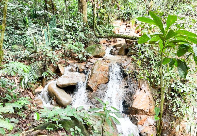 3-Adjoining Lots Prime Land @ Tanarimba, Janda Baik, Pahang for Sale