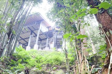 3-Adjoining Lots Prime Land @ Tanarimba, Janda Baik, Pahang for Sale