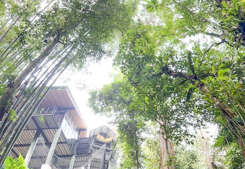 3-Adjoining Lots Prime Land @ Tanarimba, Janda Baik, Pahang for Sale