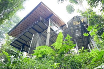 3-Adjoining Lots Prime Land @ Tanarimba, Janda Baik, Pahang for Sale