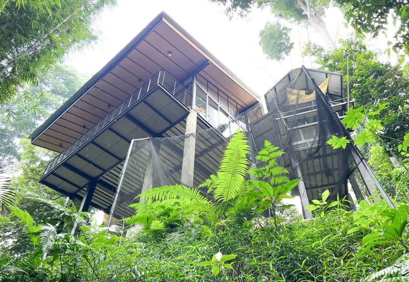 3-Adjoining Lots Prime Land @ Tanarimba, Janda Baik, Pahang for Sale