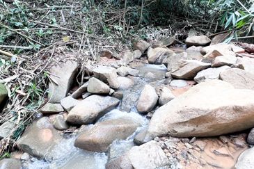 3-Adjoining Lots Prime Land @ Tanarimba, Janda Baik, Pahang for Sale