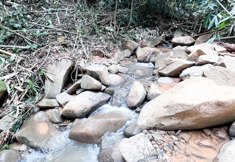 3-Adjoining Lots Prime Land @ Tanarimba, Janda Baik, Pahang for Sale