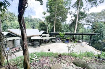 3-Adjoining Lots Prime Land @ Tanarimba, Janda Baik, Pahang for Sale