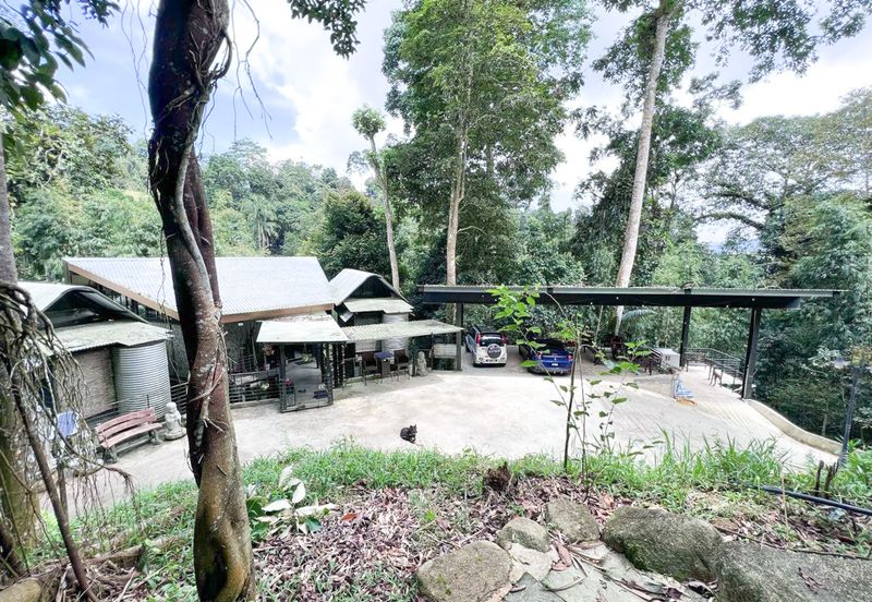 3-Adjoining Lots Prime Land @ Tanarimba, Janda Baik, Pahang for Sale