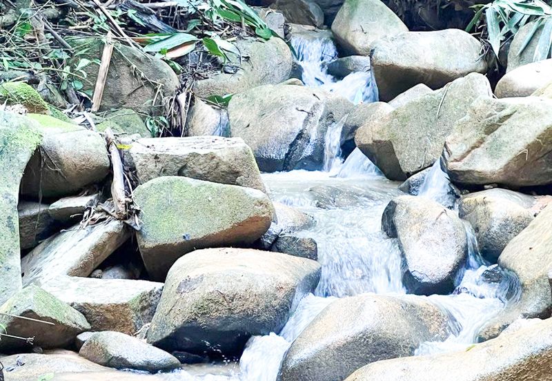 3-Adjoining Lots Prime Land @ Tanarimba, Janda Baik, Pahang for Sale