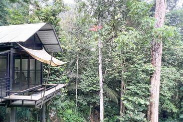 3-Adjoining Lots Prime Land @ Tanarimba, Janda Baik, Pahang for Sale