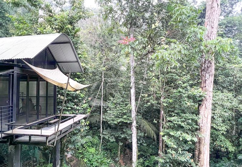 3-Adjoining Lots Prime Land @ Tanarimba, Janda Baik, Pahang for Sale