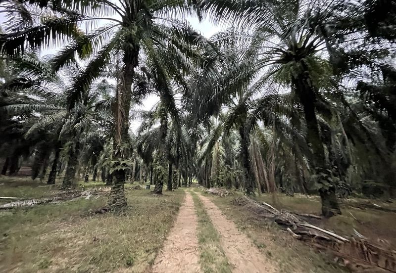 3 Lots Land for Sale @ Rawang, Gombak, Selangor.