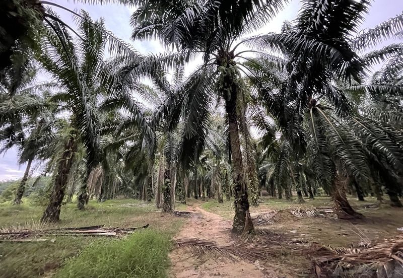 3 Lots Land for Sale @ Rawang, Gombak, Selangor.