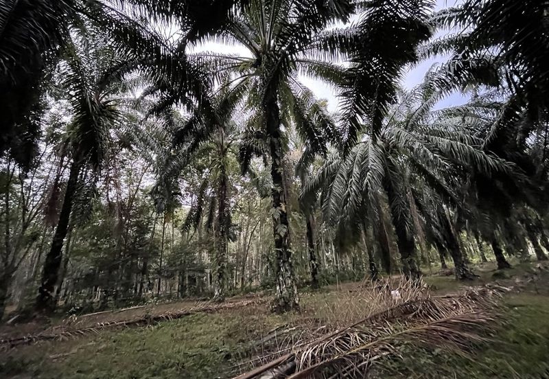 3 Lots Land for Sale @ Rawang, Gombak, Selangor.