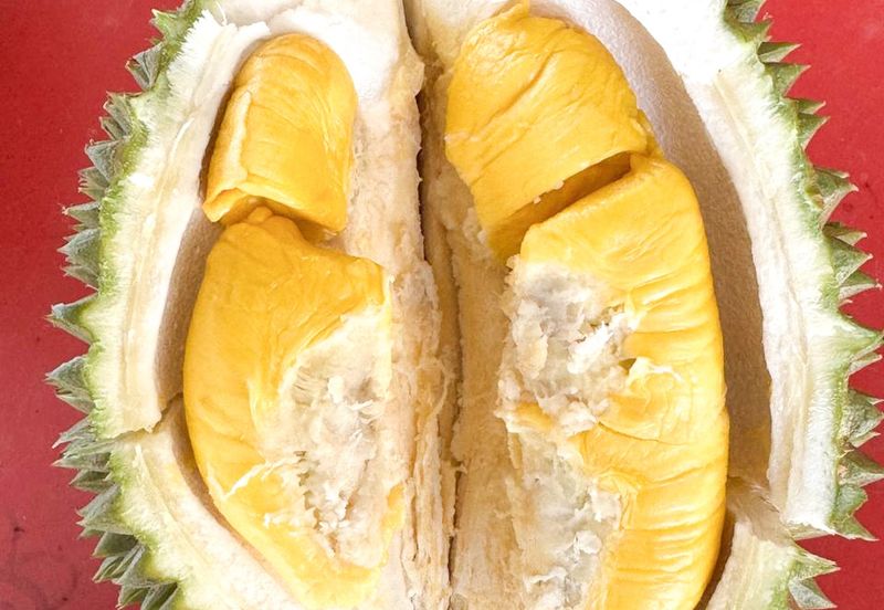 Durian Pahang @ Agricultural Land