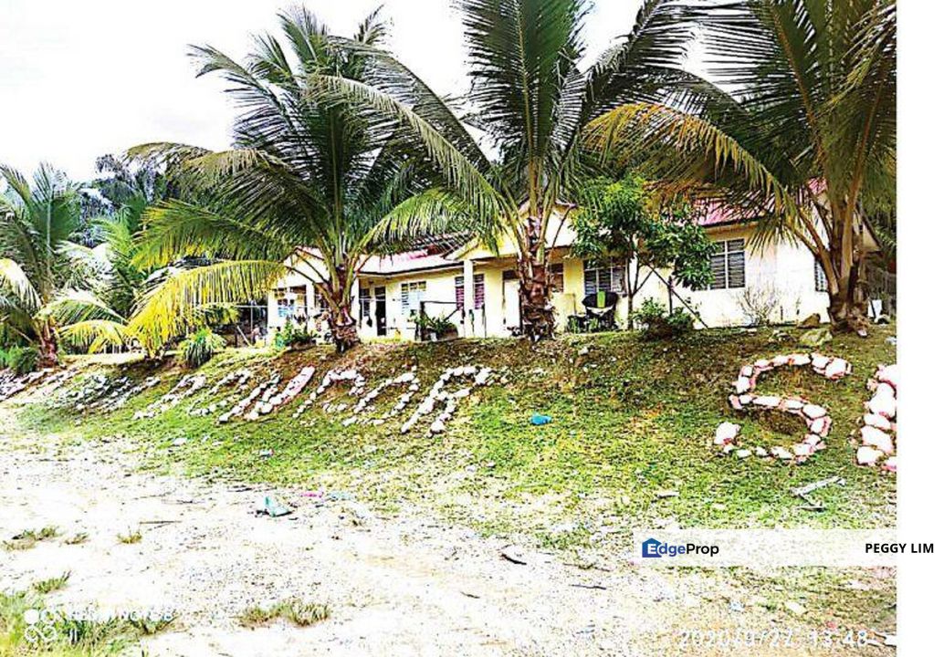 Palm Oil Plantation + Mill for Sale – Jeli, Kelantan, Kelantan, Jeli