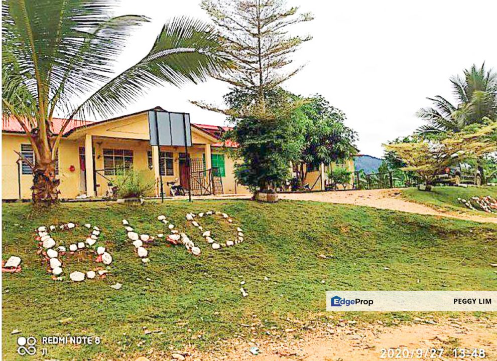 Palm Oil Plantation + Mill for Sale – Jeli, Kelantan, Kelantan, Jeli