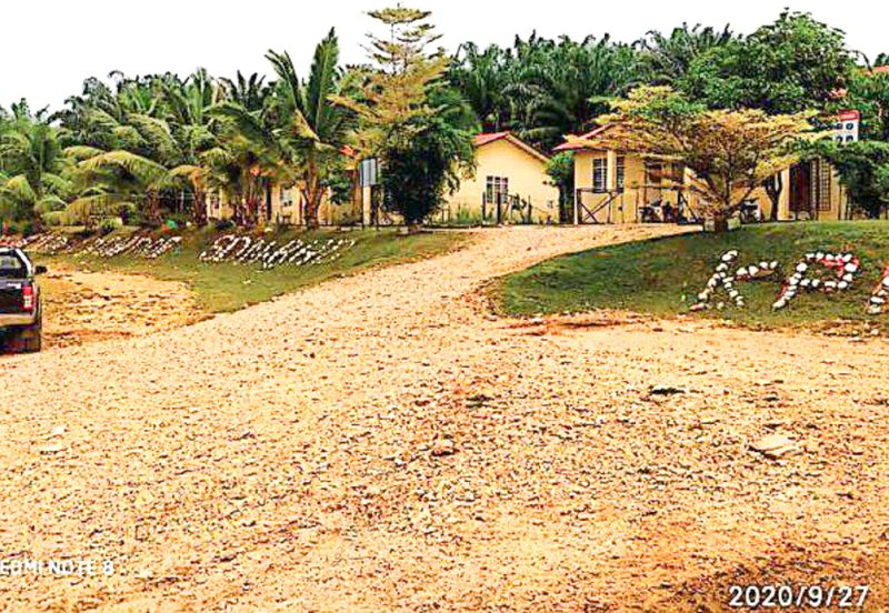 Palm Oil Plantation + Mill for Sale – Jeli, Kelantan