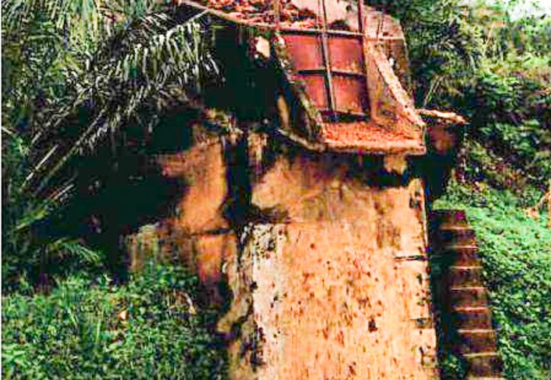 Palm Oil Plantation + Mill for Sale – Jeli, Kelantan