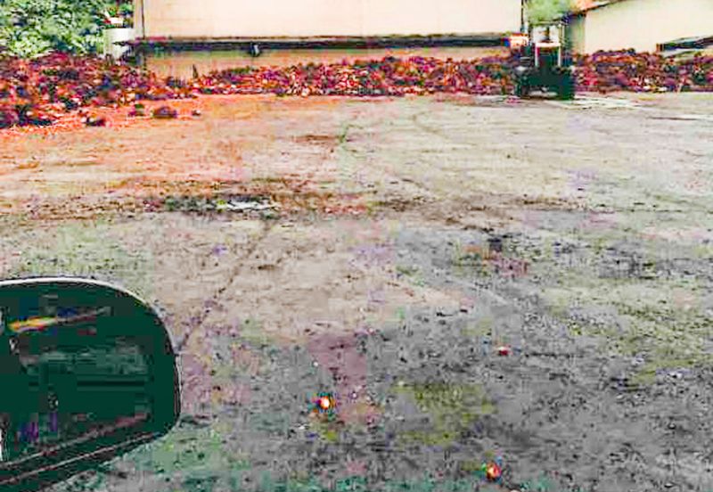 Palm Oil Plantation + Mill for Sale – Jeli, Kelantan