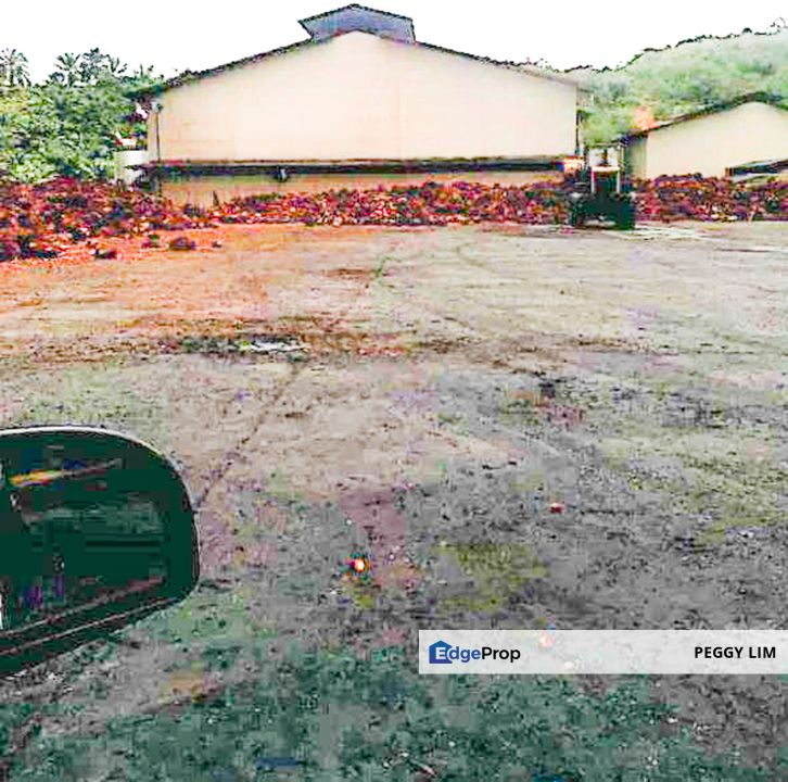 Palm Oil Plantation + Mill for Sale – Jeli, Kelantan, Kelantan, Jeli