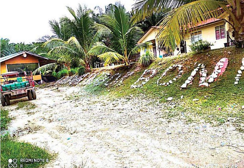 Palm Oil Plantation + Mill for Sale – Jeli, Kelantan