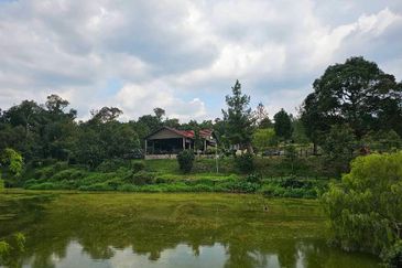 Resort with Durian Farm for Sale Sungai Makau-Hulu Langat, Selangor