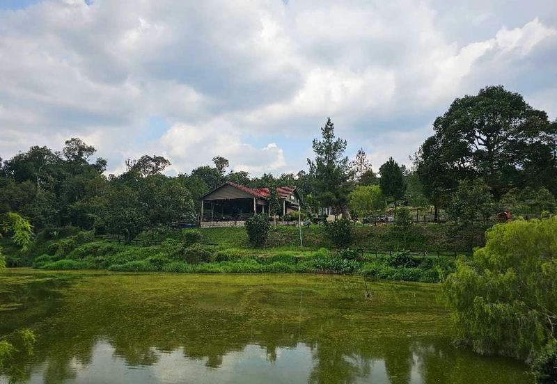 Resort with Durian Farm for Sale Sungai Makau-Hulu Langat, Selangor