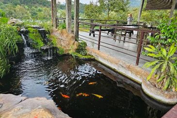 Resort with Durian Farm for Sale Sungai Makau-Hulu Langat, Selangor