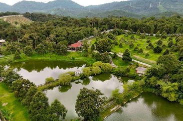 Resort with Durian Farm for Sale Sungai Makau-Hulu Langat, Selangor