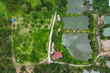 Resort with Durian Farm for Sale Sungai Makau-Hulu Langat, Selangor