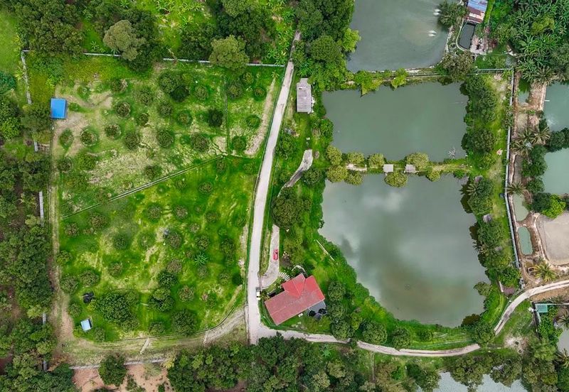 Resort with Durian Farm for Sale Sungai Makau-Hulu Langat, Selangor
