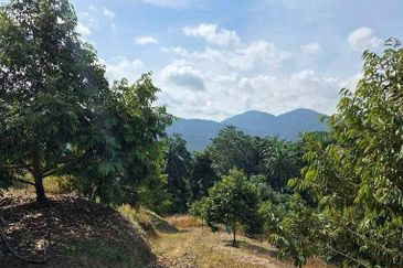 Semenyih Sungai Lalang Durian Farm for Sale