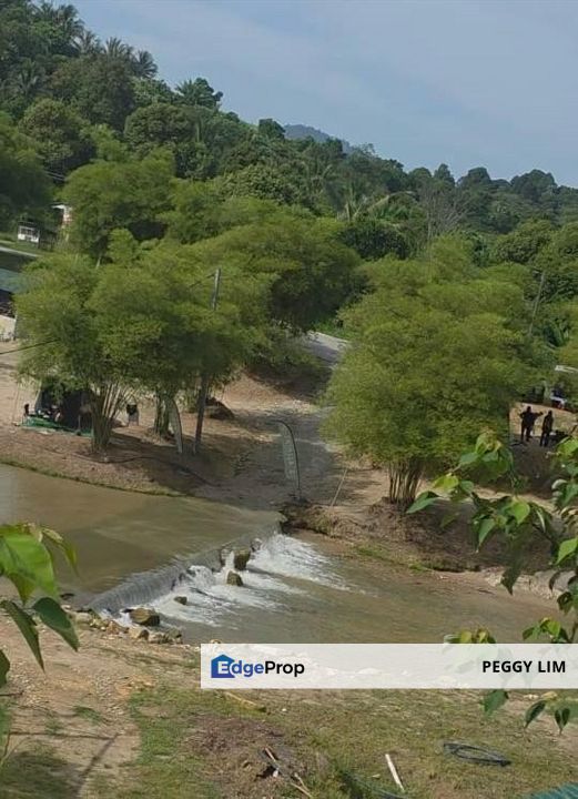 Semenyih Sungai Lalang Durian Farm for Sale, Selangor, Semenyih