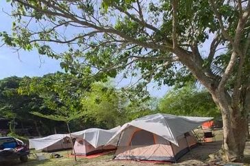 Semenyih Sungai Lalang Durian Farm for Sale