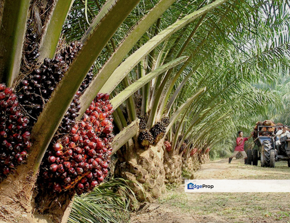 Agriculture Land @ Sungkai, Perak For Sale , Perak, Sungkai
