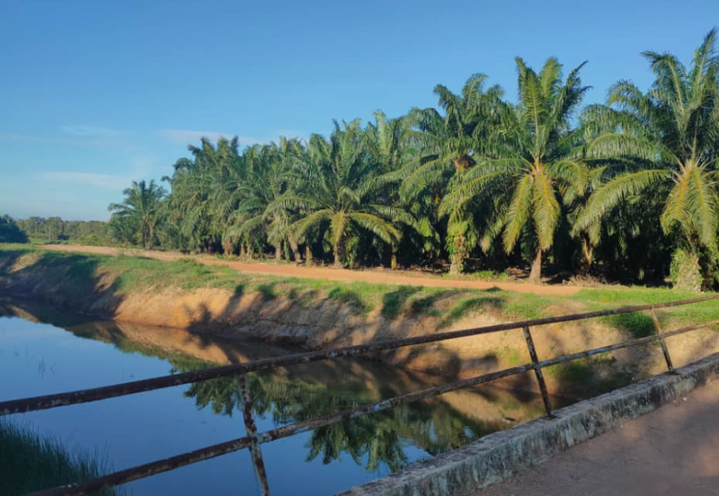 Agriculture Land @ Port Dickson, Negeri Sembilan For Sale