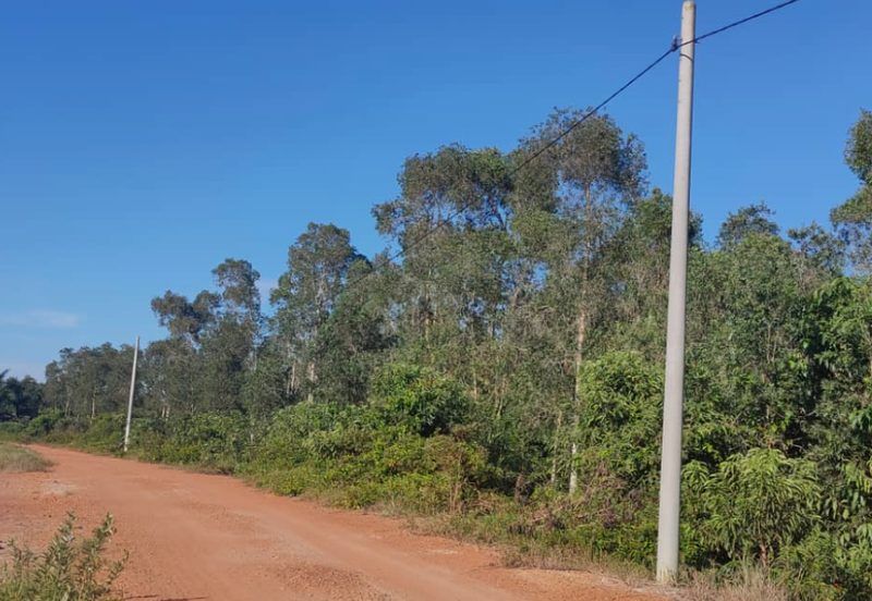 Agriculture Land @ Port Dickson, Negeri Sembilan For Sale
